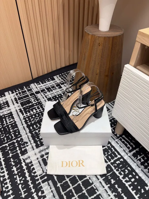 Dior Shoe 